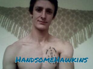 HandsomeHawkins