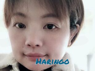 Haringo