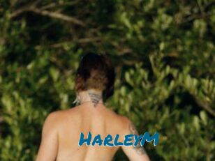 HarleyM