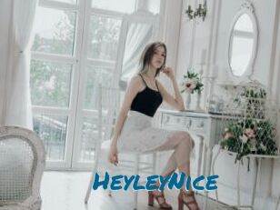 HeyleyNice