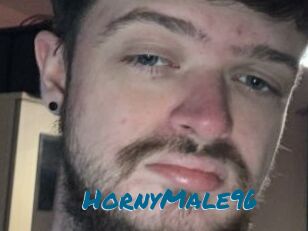 HornyMale96