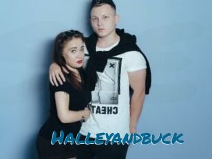 Halleyandbuck