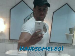 Handsomeleo1