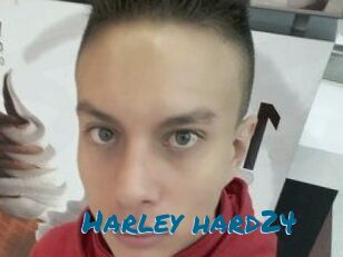 Harley_hard24