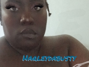 Harleydabusty