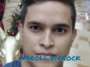 Harold_bigcock