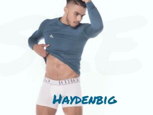 Haydenbig