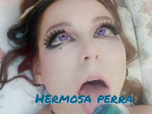 Hermosa_perra