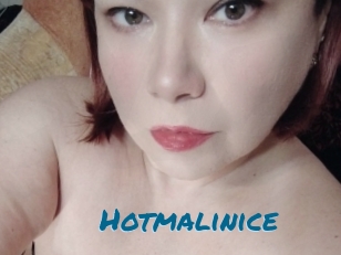 Hotmalinice