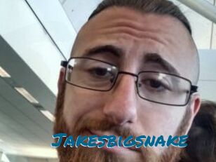 Jakesbigsnake