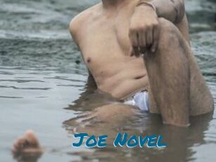 Joe_Novel