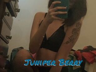 Juniper_Berry