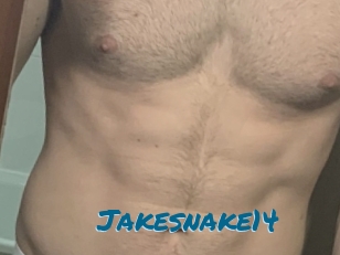 Jakesnake14