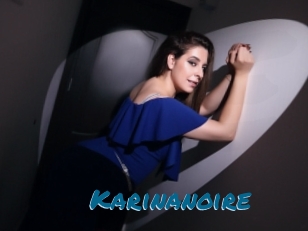 Karinanoire