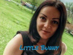 Little_Bunny_