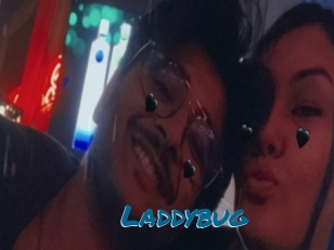 Laddybug