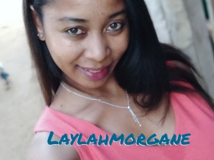 Laylahmorgane