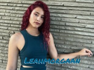 Leahmorgaan