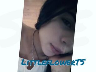 LittleflowerTS