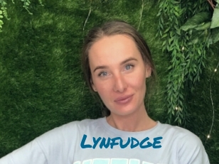 Lynfudge