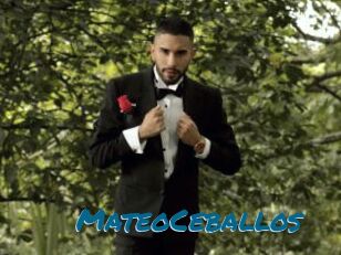 MateoCeballos