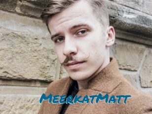 MeerkatMatt