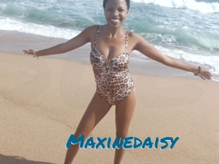 Maxinedaisy