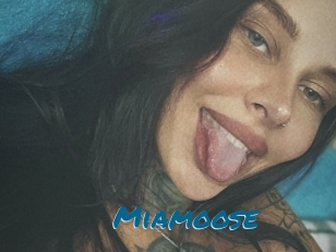 Miamoose