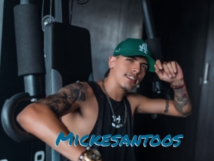 Mickesantoos