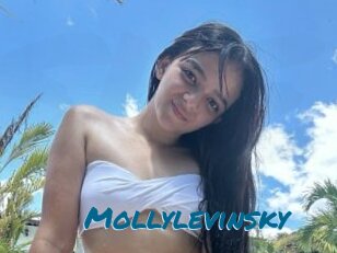 Mollylevinsky