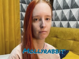 Mollyrabbit