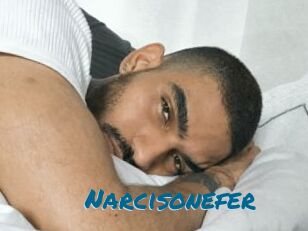 Narcisonefer