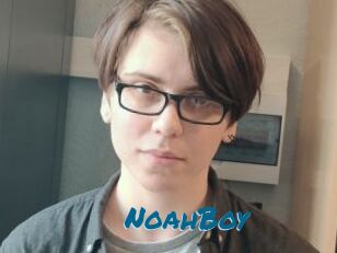 NoahBoy