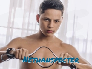 Nethanspecter