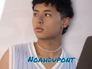 Noahdupont