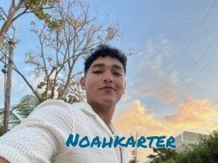 Noahkarter