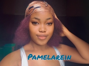 Pamelarein