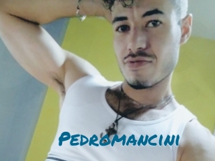 Pedromancini