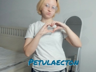 Petulaecton