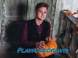 Playfulboydavid