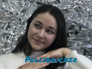 Pollybrucker