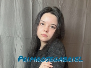 Primrosegabriel