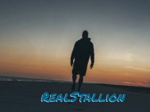 RealStallion