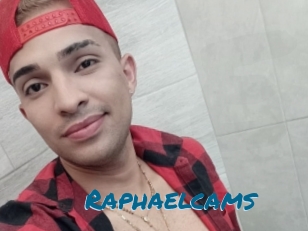 Raphaelcams