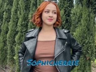 Sophicherrie