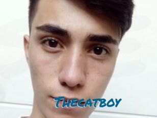 Thecatboy