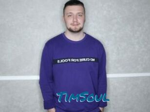 TimSoul