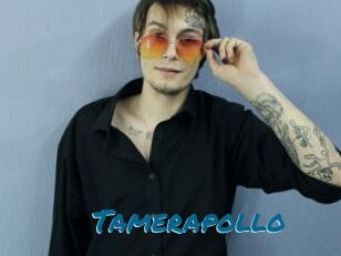 Tamerapollo