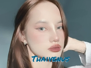 Thaivenus