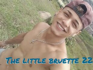 The_little_bruette_228